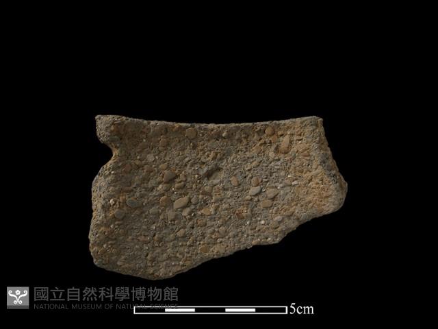 陶片藏品圖，第2張