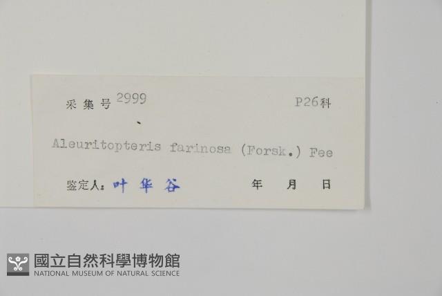 登錄號:P004628藏品圖，第2張