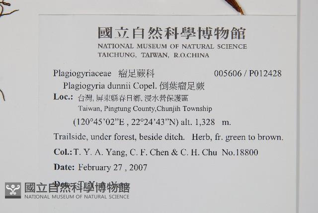 Accession Number:P012428 Collection Image, Figure 2, Total 2 Figures