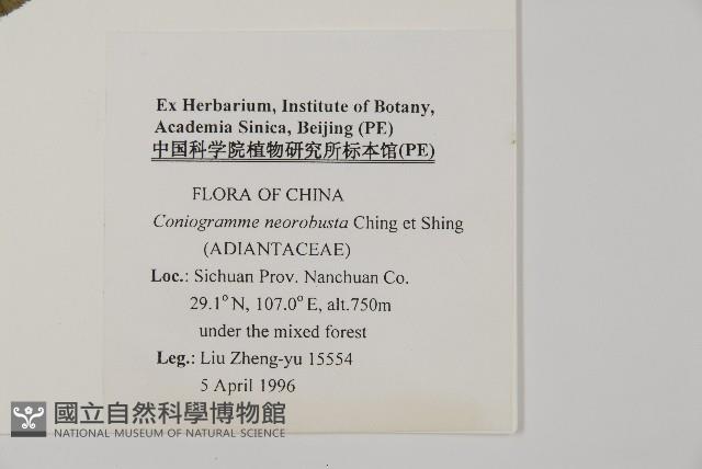 登錄號:P005708藏品圖，第2張