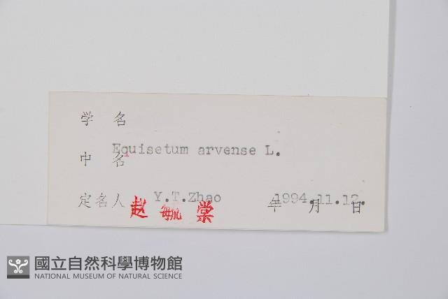 問荊藏品圖，第2張