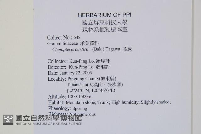 蕗蕨藏品圖，第2張