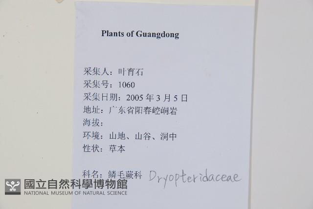 登錄號:P012608藏品圖，第2張