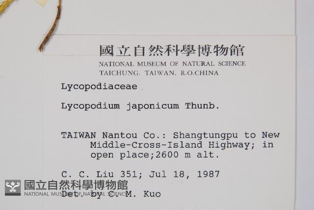 石松藏品圖，第2張