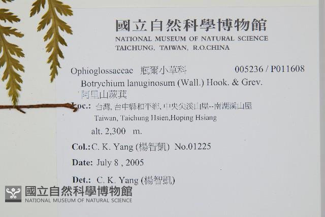 Accession Number:P011608 Collection Image, Figure 2, Total 2 Figures