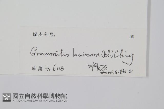 登錄號:P010408藏品圖，第2張