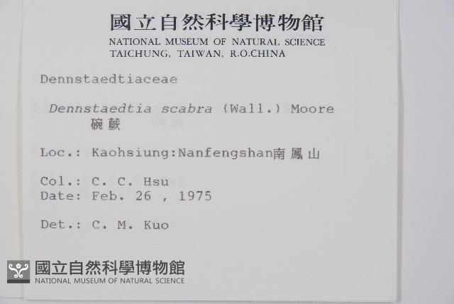 Accession Number:P001408 Collection Image, Figure 2, Total 4 Figures