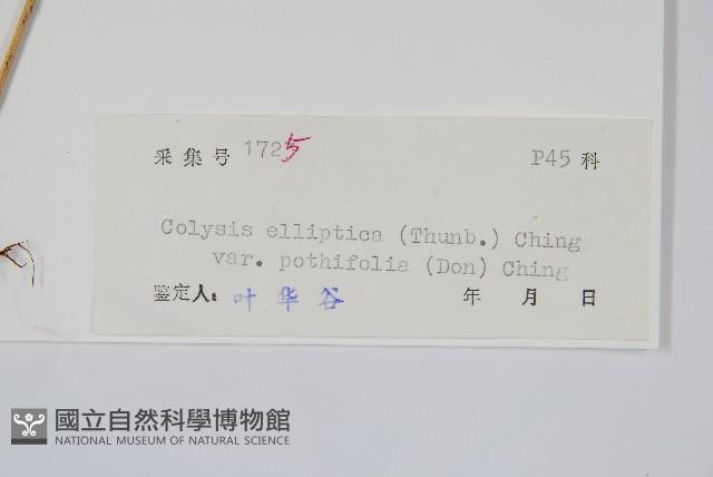 登錄號:P005408藏品圖，第2張