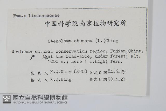 烏蕨藏品圖，第2張