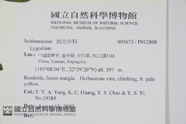 登錄號:P012808藏品圖，第2張