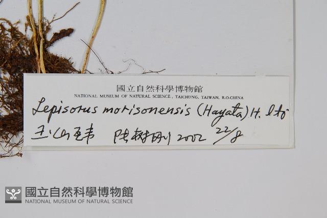 玉山瓦葦藏品圖，第2張