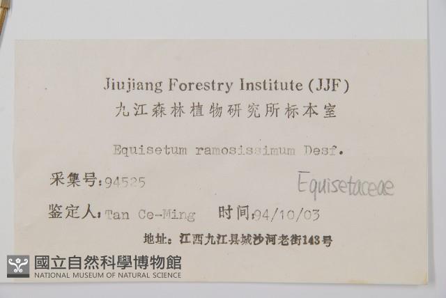 木賊藏品圖，第2張