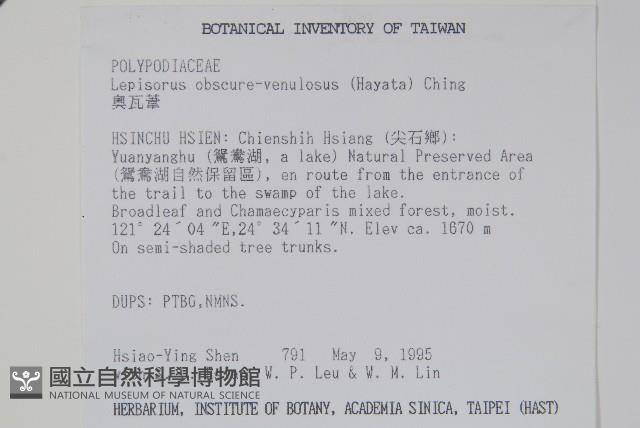 粵瓦葦藏品圖，第2張