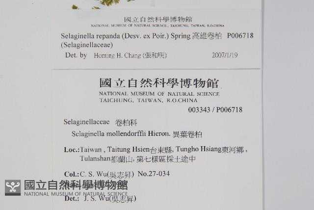 Accession Number:P006718 Collection Image, Figure 2, Total 2 Figures