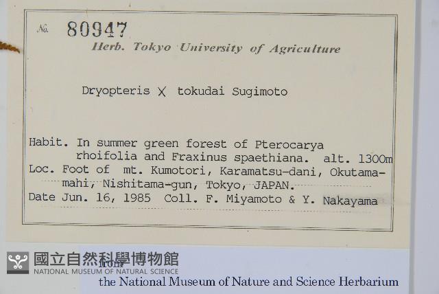 登錄號:P012718藏品圖，第2張