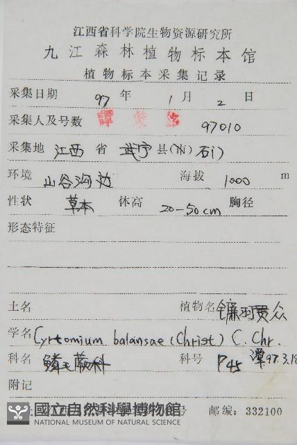 鐮羽貫眾藏品圖，第2張