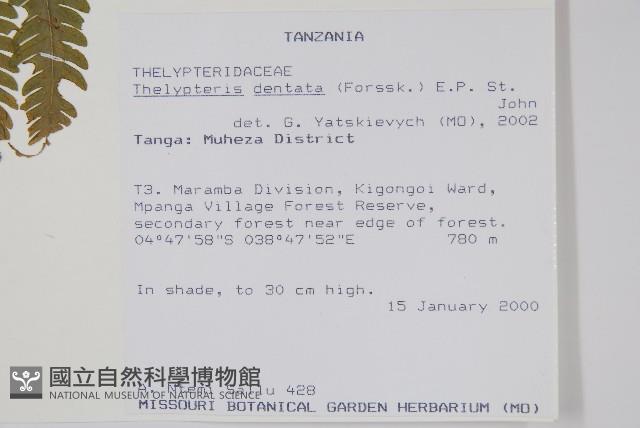 登錄號:P010018藏品圖，第2張