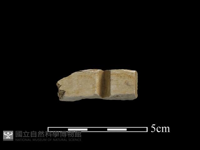 帶加工痕玉材藏品圖，第2張