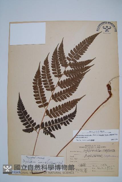 Accession Number:P007318 Collection Image, Figure 1, Total 5 Figures