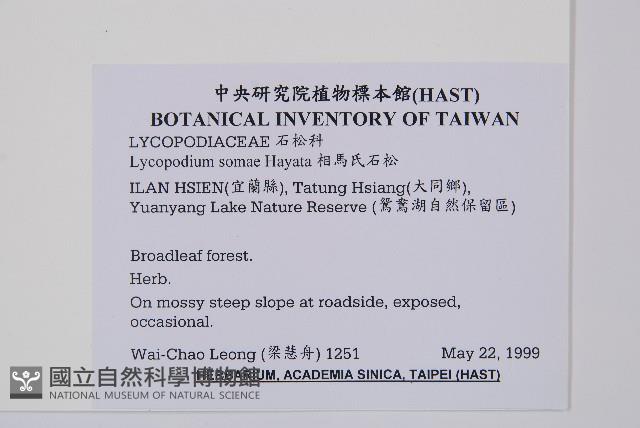 相馬氏石松藏品圖，第2張