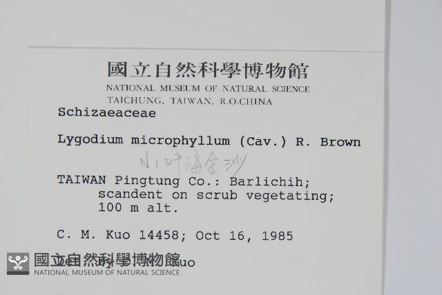 Accession Number:P000818 Collection Image, Figure 2, Total 2 Figures