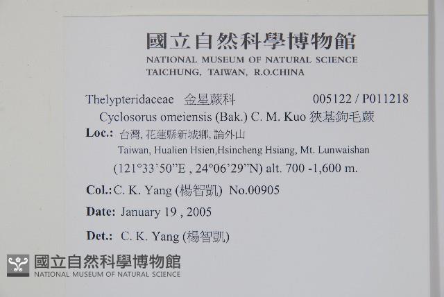 狹基鉤毛蕨藏品圖，第2張