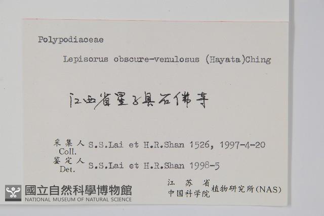 粵瓦葦藏品圖，第2張