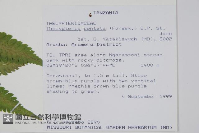 登錄號:P010058藏品圖，第2張