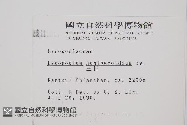 玉柏藏品圖，第2張