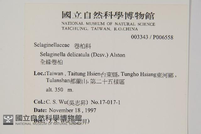 Accession Number:P006558 Collection Image, Figure 2, Total 2 Figures