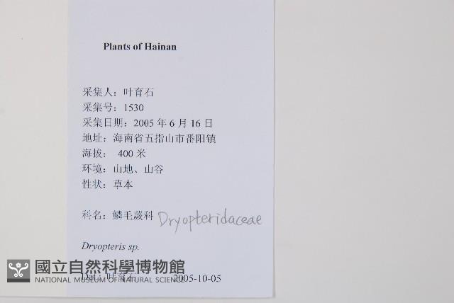 登錄號:P012558藏品圖，第2張