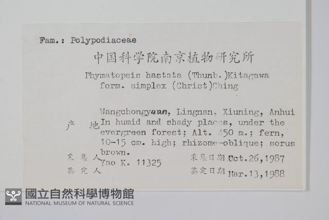 登錄號:P003558藏品圖，第2張