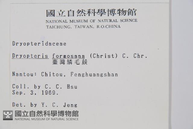 臺灣鱗毛蕨藏品圖，第2張