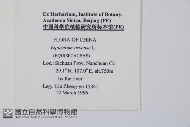 問荊藏品圖，第2張