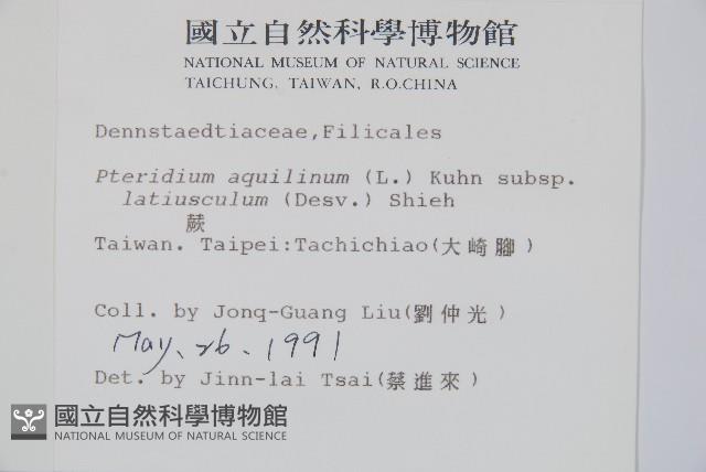 蕨藏品圖，第2張