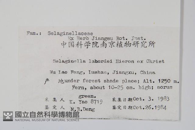 Accession Number:P003458 Collection Image, Figure 2, Total 2 Figures