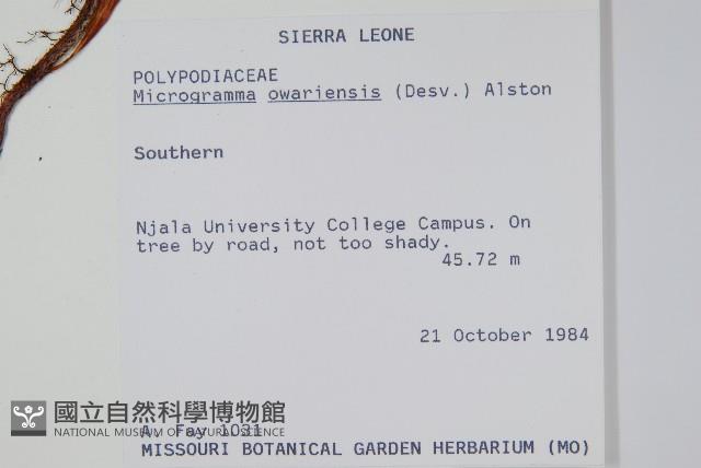 登錄號:P010258藏品圖，第2張