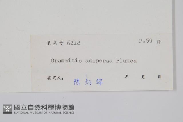 登錄號:P004098藏品圖，第2張