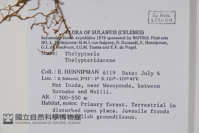 登錄號:P005598藏品圖，第2張