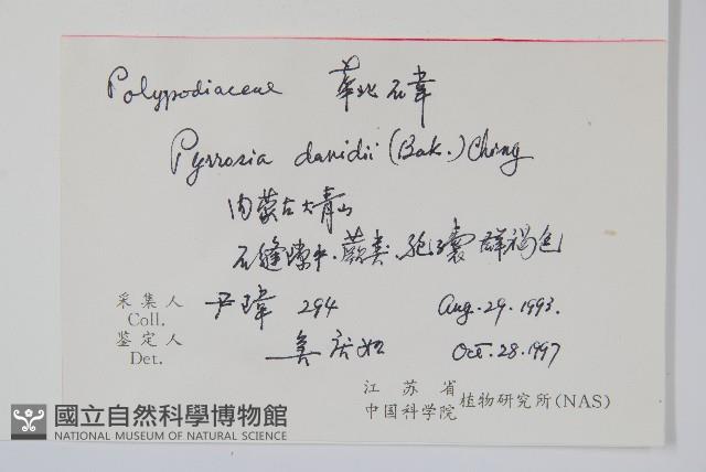 華北石葦藏品圖，第2張