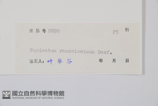 木賊藏品圖，第2張