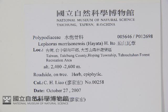 粵瓦葦藏品圖，第2張