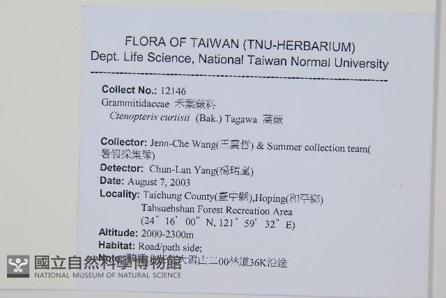 蒿蕨藏品圖，第2張