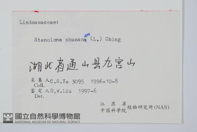 烏蕨藏品圖，第1張