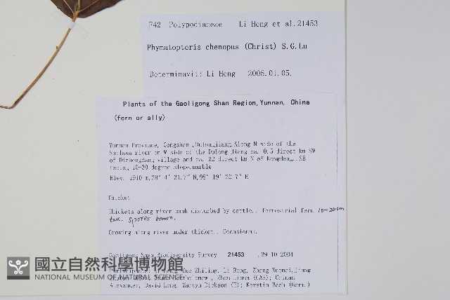 登錄號:P010738藏品圖，第2張
