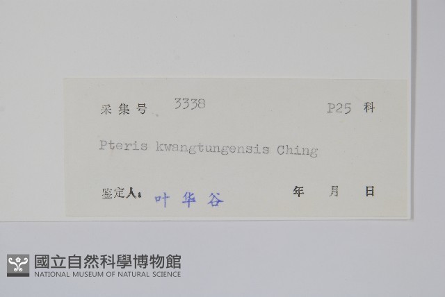 登錄號:P004738藏品圖，第2張