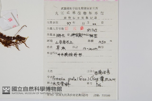 中國石葦藏品圖，第2張