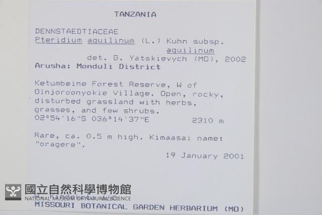 蕨藏品圖，第2張