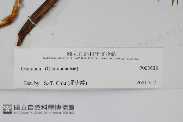 Accession Number:P003638 Collection Image, Figure 2, Total 2 Figures