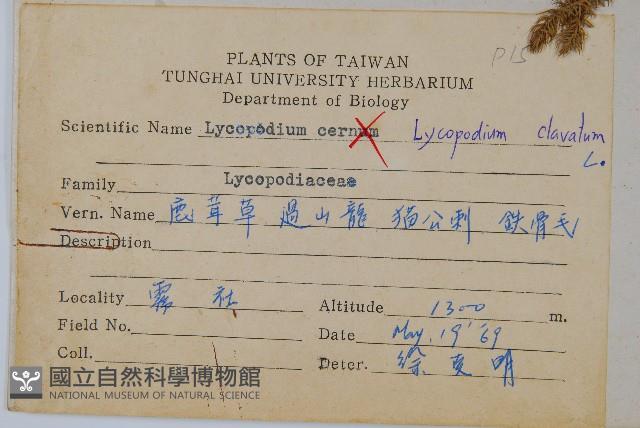 石松藏品圖，第2張